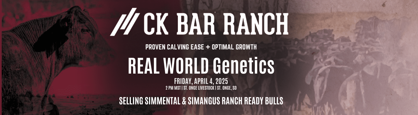 CK Bar Ranch Simmental Bulls Ranch Channel 2025 Banner