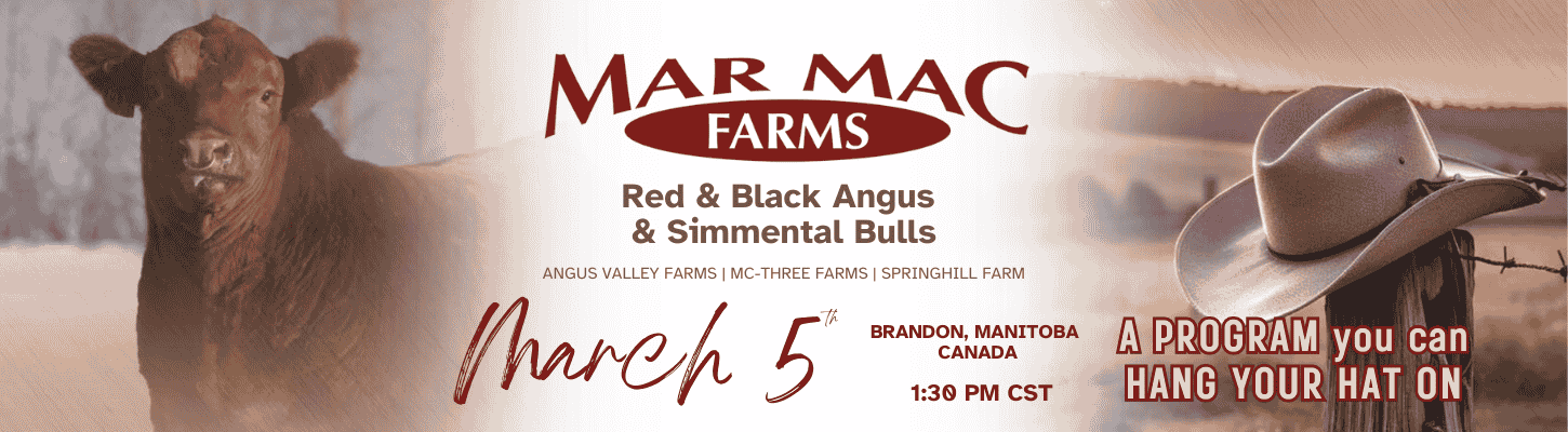 Mar Mac Farms Angus Valley Farms MC-Three Farms Springhill Farms Simmental & Angus Bulls Ranch Channel 2025 Banner