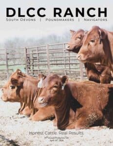 DLCC Ranch South Devon Bull Heifer Sale Catalog Ranch Channel 2026