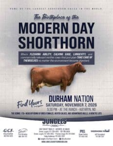 Jungels Shorthorn Farms Durham Nation Heifer Bull Genetic 2026 Sale Ranch Channel