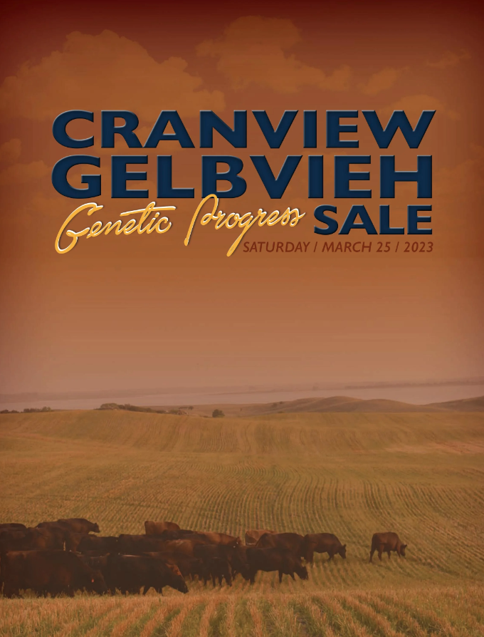 Cranview Gelbvieh Catalog 2023