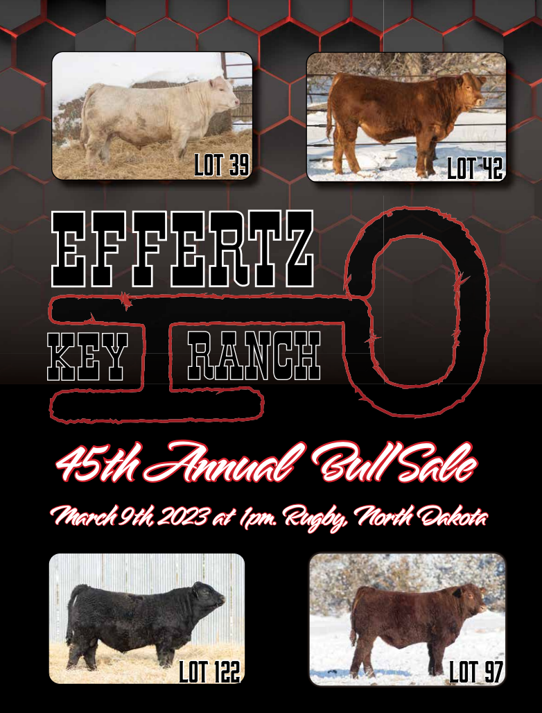 Effertz Key Ranch Bull Sale