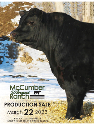 McCumber Angus Ranch Production Sale