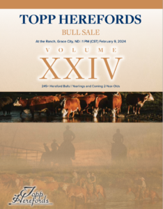Topp Hereford Annaul Bull Sale 2024 Ranch Channel