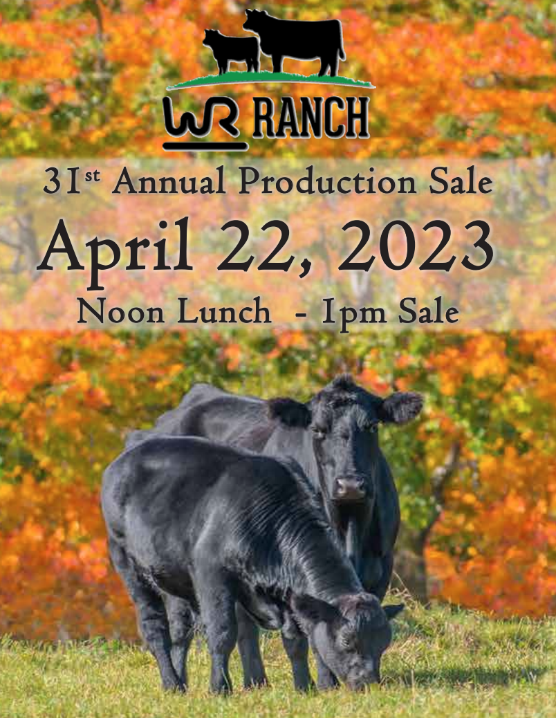 WR Bar Ranch Production Sale