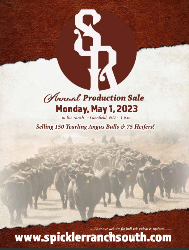 Spickler Ranch South Production Sale