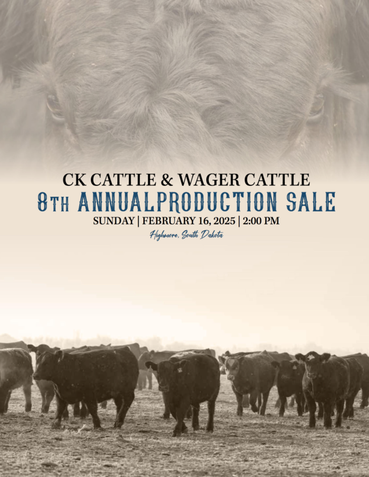 CK Cattle & Wager Cattle Simmental, SimAngus, Angus: Bulls & Heifers