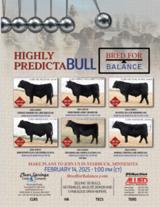 Clear Springs Cattle Company Simmental SimAngus Bulls & Heifers Ranch Channel 2025 Feature