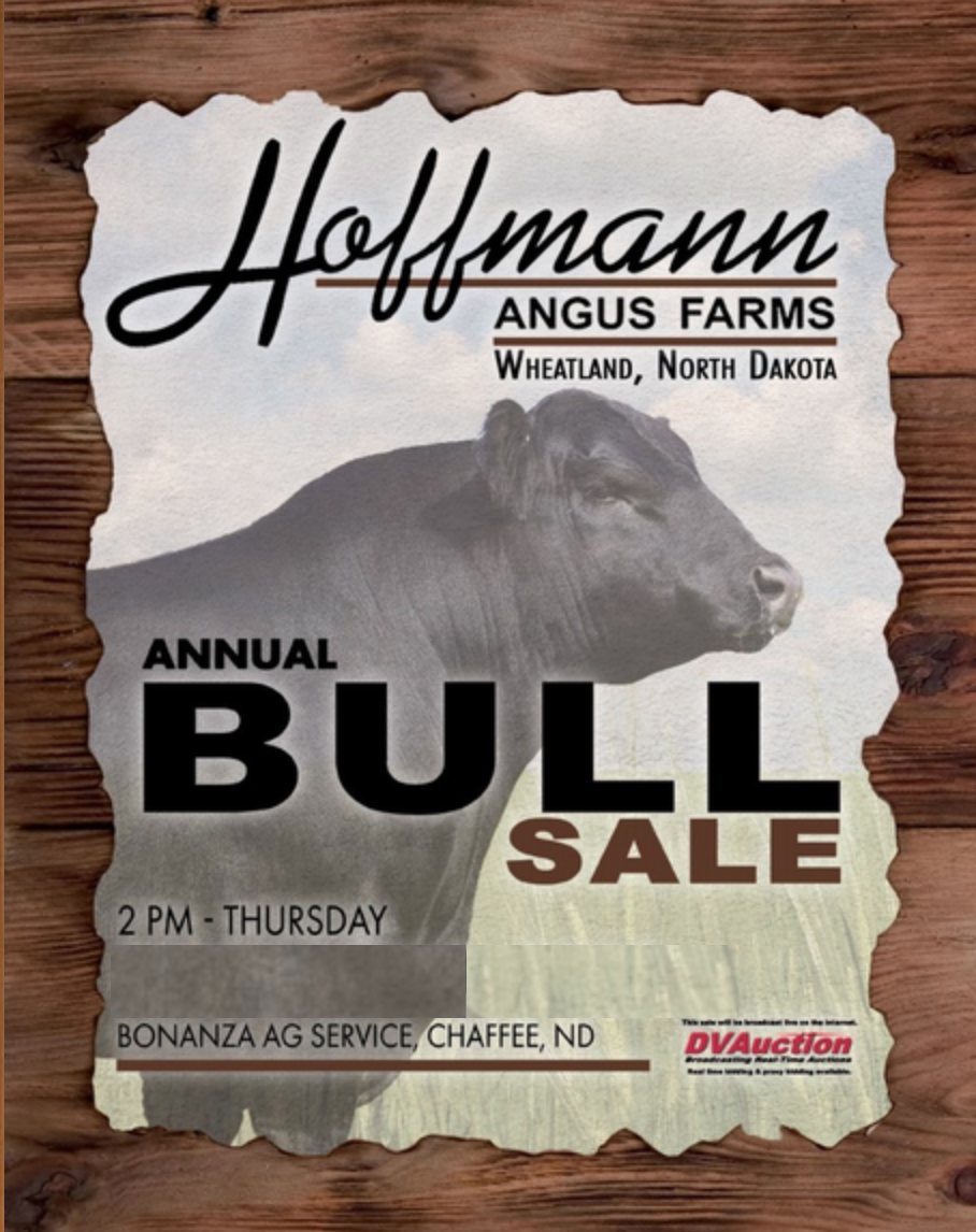 Hoffmann Angus Farms Bull Sale