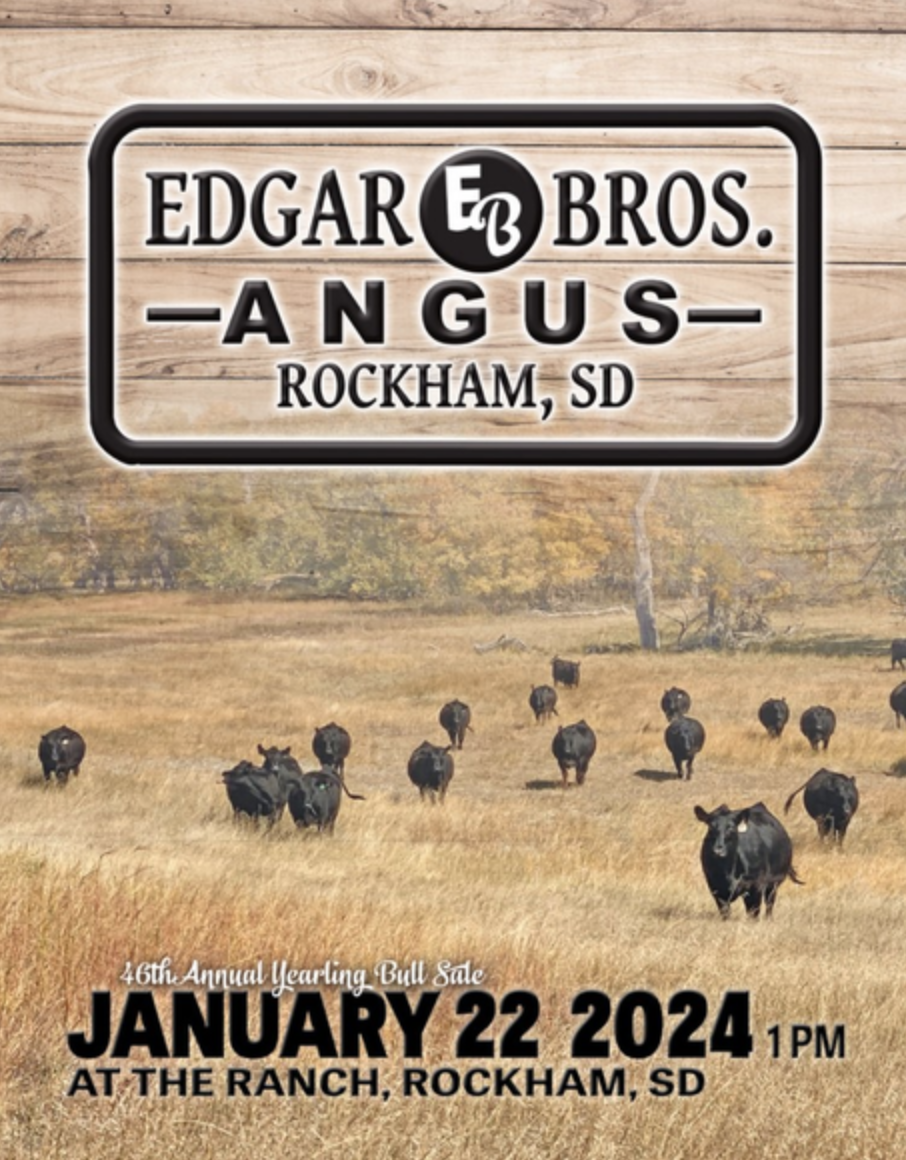 Ranch Channel Edgar Brothers Angus Bull and Female Sale 2024