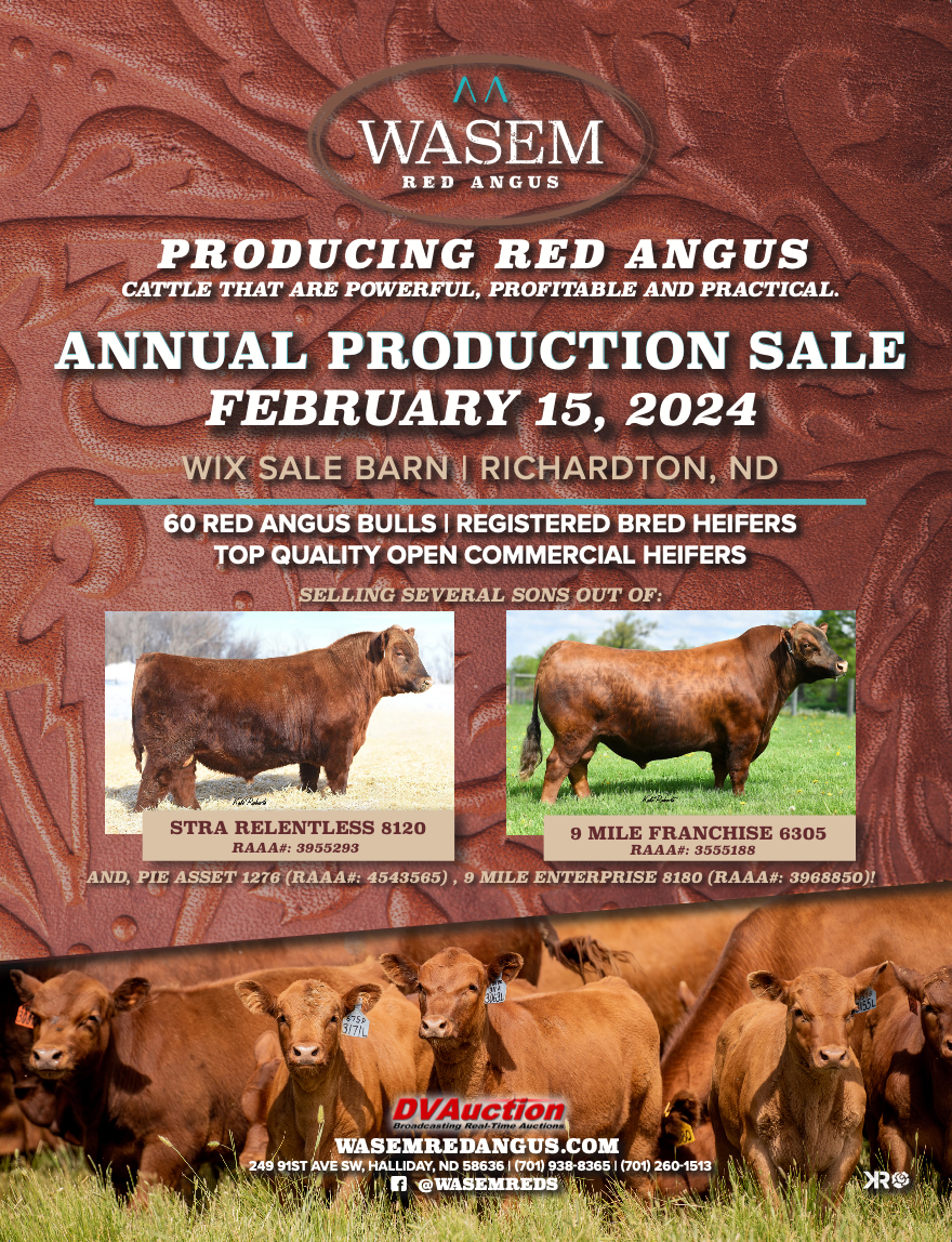 Ranch Channel Wasem Red Angus Production Sale 2024