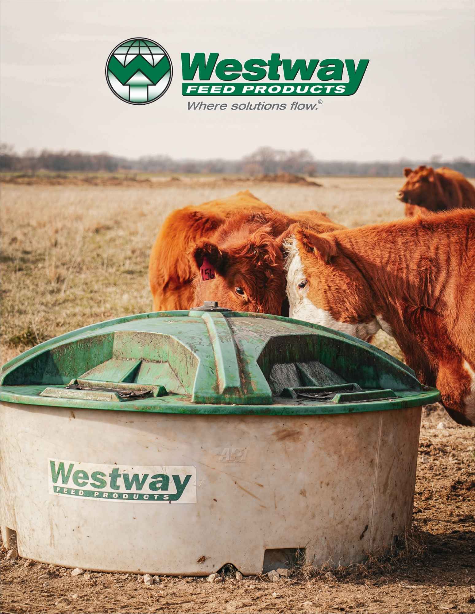 Westway Feed learn more