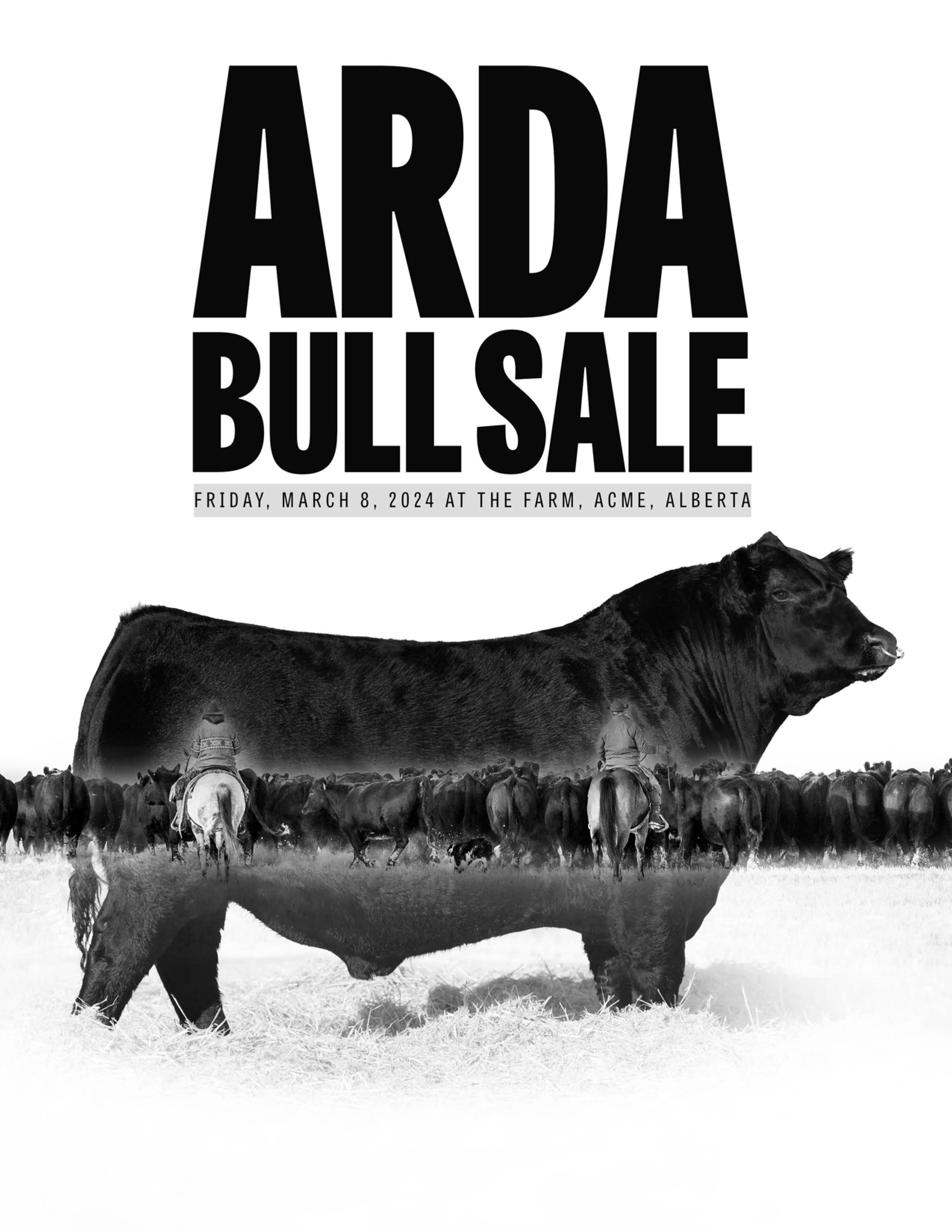 Arda Farms & Freeway Angus Production Bull Sale