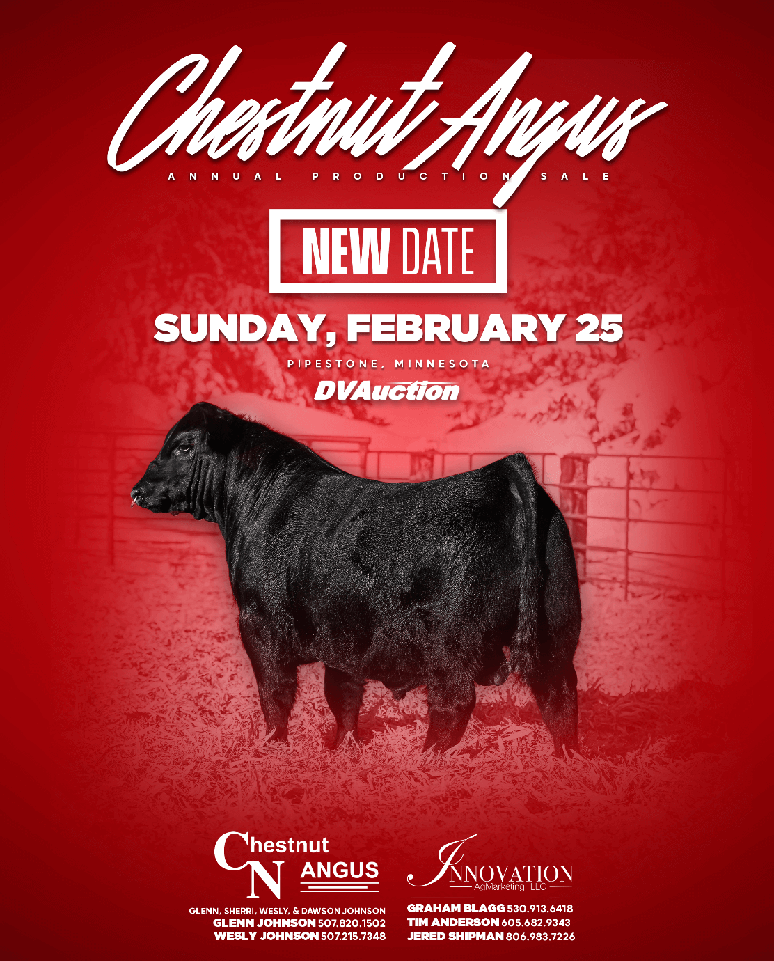 Chestnut Angus Bull Sale 2024 Ranch Channel.png