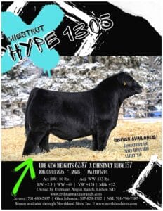 Chestnut Angus Semen For Sale Flyer 2026 Ranch Channel