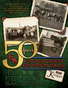 Eichacker Simmentals Production Bull Sale 2024 Ranch Channel