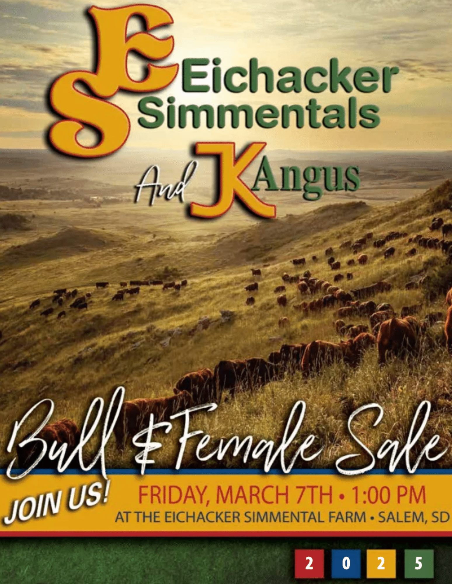 Eichacker Simmentals: Bull & Heifer Sale