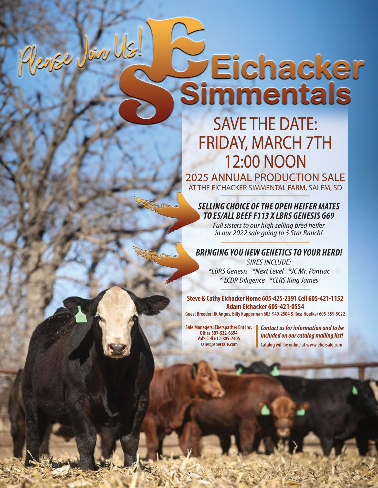 Eichacker Simmentals: Bull & Heifer Sale