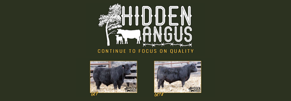 Landing Page (Mobile View) Hidden Angus Sale 2024 Ranch Channel