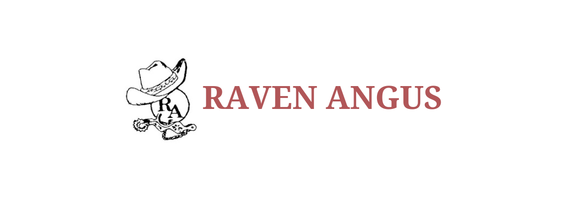 Landing Page (Mobile View) Raven Angus Production Bull Sale Ranch Channel 2024