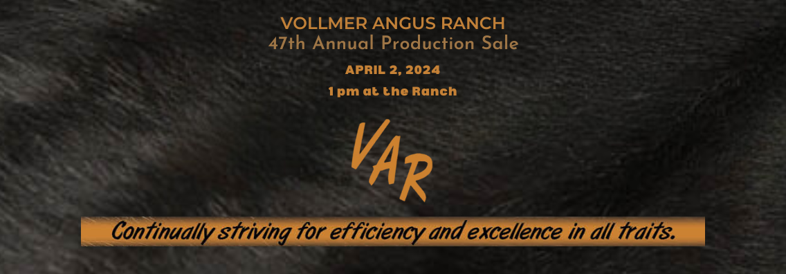 JYJ Red Angus Ranch Channel Red Angus Bull and Cow Sale 2024 Home Banner