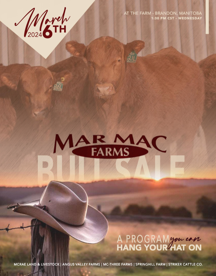 Mar Mac Farms Bull Sale