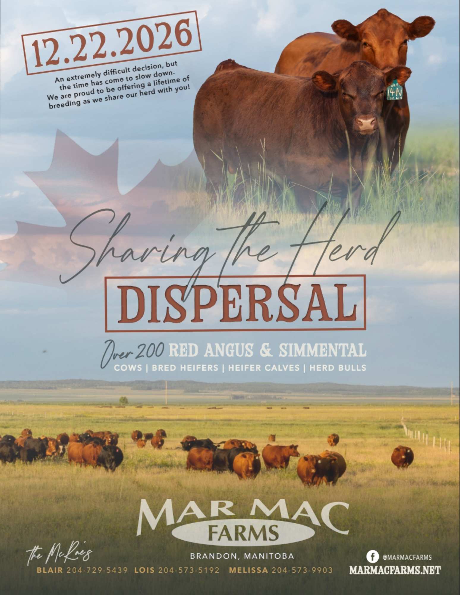Mar Mac Farms Herd Dispersal: Red Angus & Simmental Sale