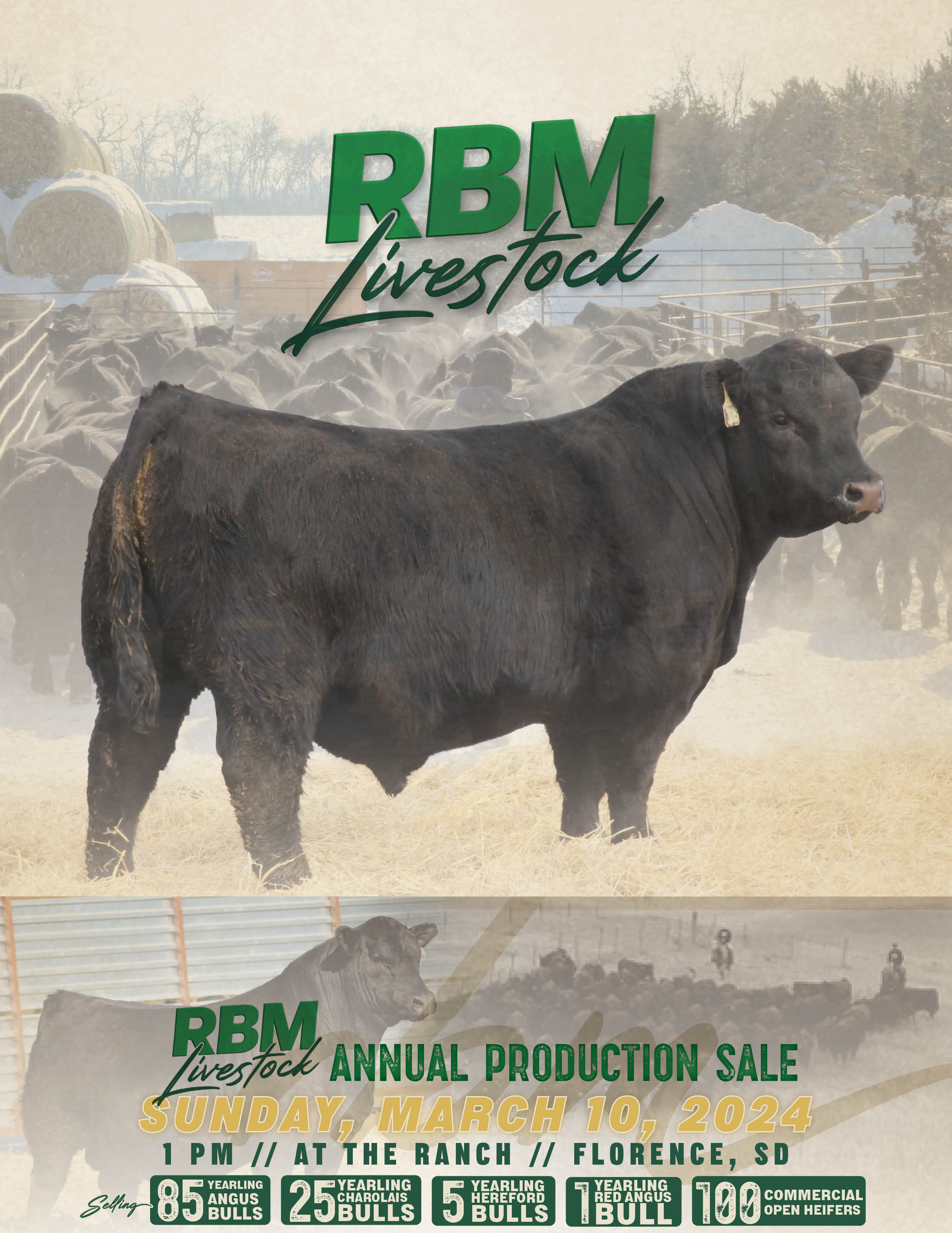 RBM Livestock Production Sale 2024 Ranch Channel
