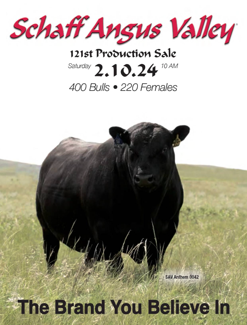 Schaff Angus Valley Production Sale