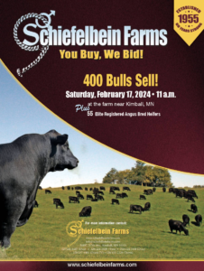 Schiefelbein Farms Production Bull Sale Ranch Channel 2024