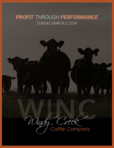 Windy-Creek-Cattle-Company-Production-Sale 2024-Ranch-Channnel