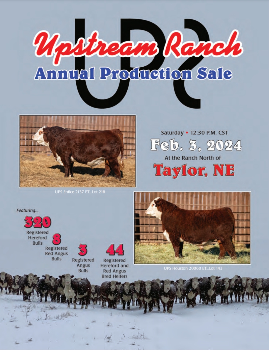 Upstream Ranch Production Bull Sale