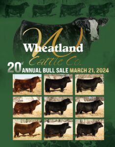Wheatland Cattle Company Production Bull Sale Ranch Channel 2024