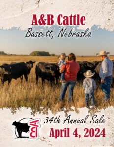 A&B Cattle Production Bull Sale Ranch Channel 2024