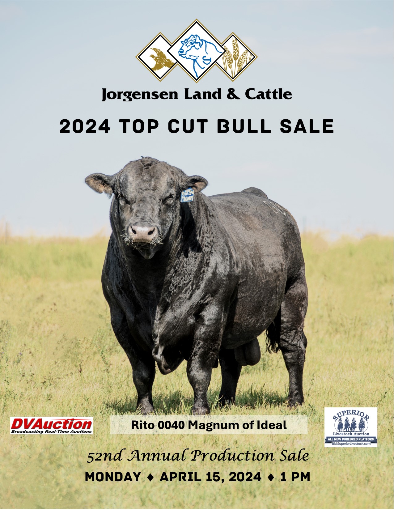 Jorgensen Land & Cattle Top Cut Angus Bull Sale