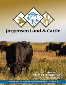 Jorgensen Land Cattle Top Cut Angus Bull Sale 2026 Catalog