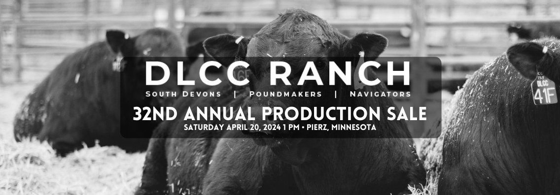 JYJ Red Angus Ranch Channel Red Angus Bull and Cow Sale 2024 Home Banner