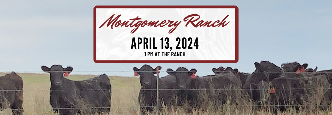 Landing Page (Mobile View) Montgomery Angus Ranch Production Bull Sale Ranch Channel 202