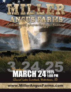 Miller Angus Farms 2025 Angus Bull & Heifer Sale Ranch Channel Feature Catalog