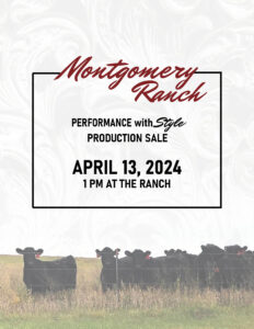 -Montgomery Ranch Bull Sale Ranch Channel 2024