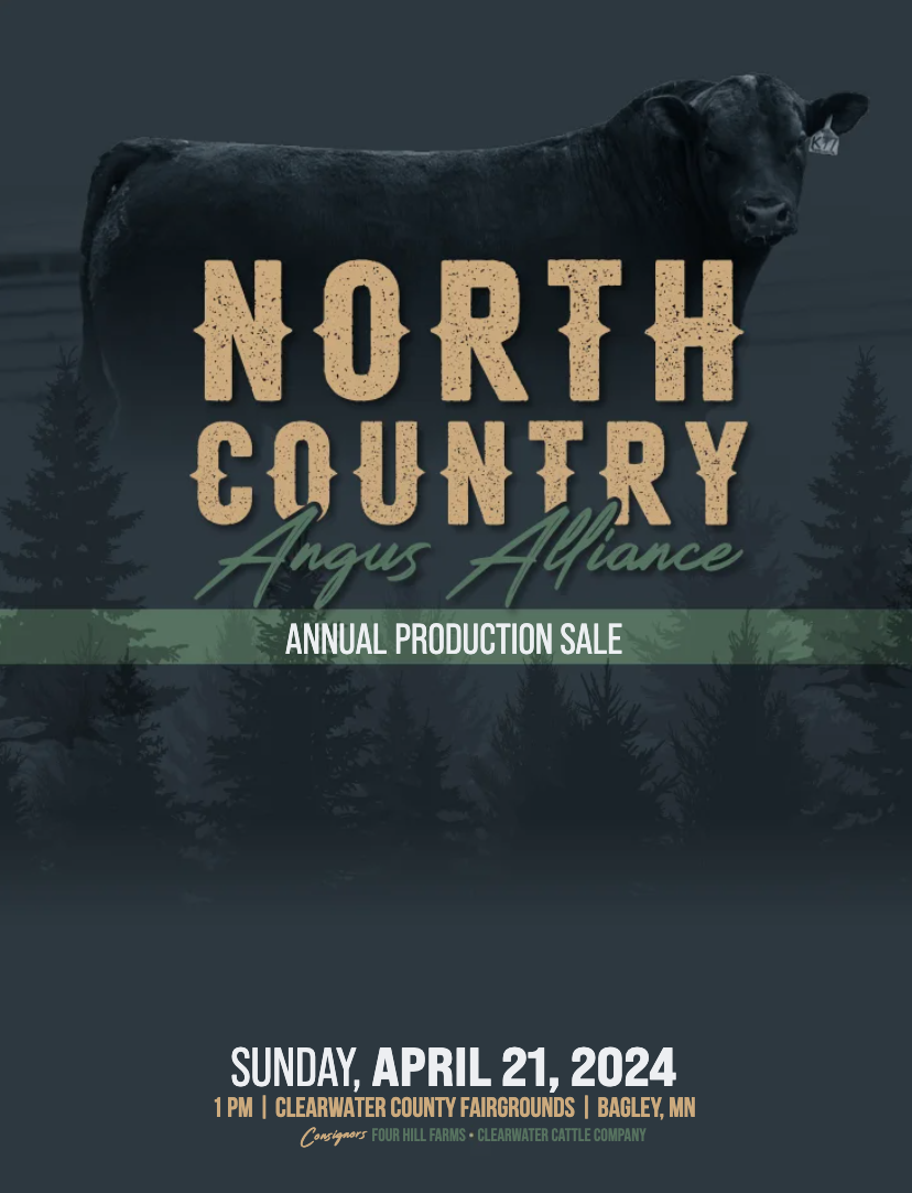 Four Hill Farms North Country Angus Alliance Bull & Heifer Sale Ranch Channel 2024