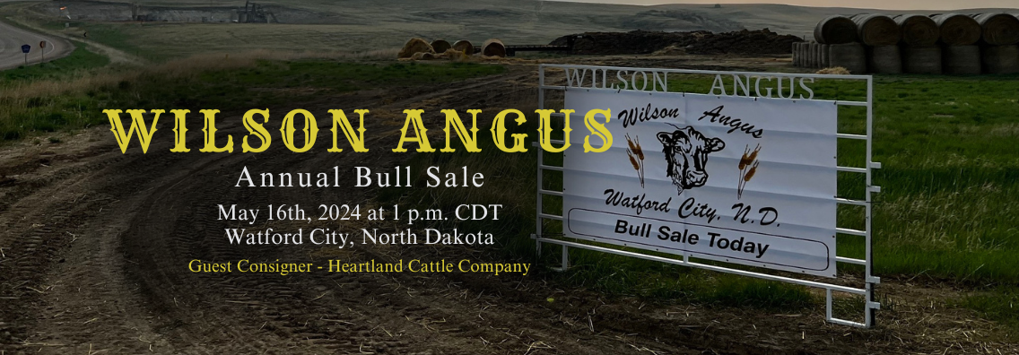 Landing Page (Mobile View) Wilson Angus Bull & Heifer Sale Ranch Channel 2024