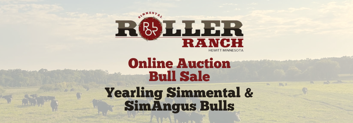 JYJ Red Angus Ranch Channel Red Angus Bull and Cow Sale 2024 Home Banner