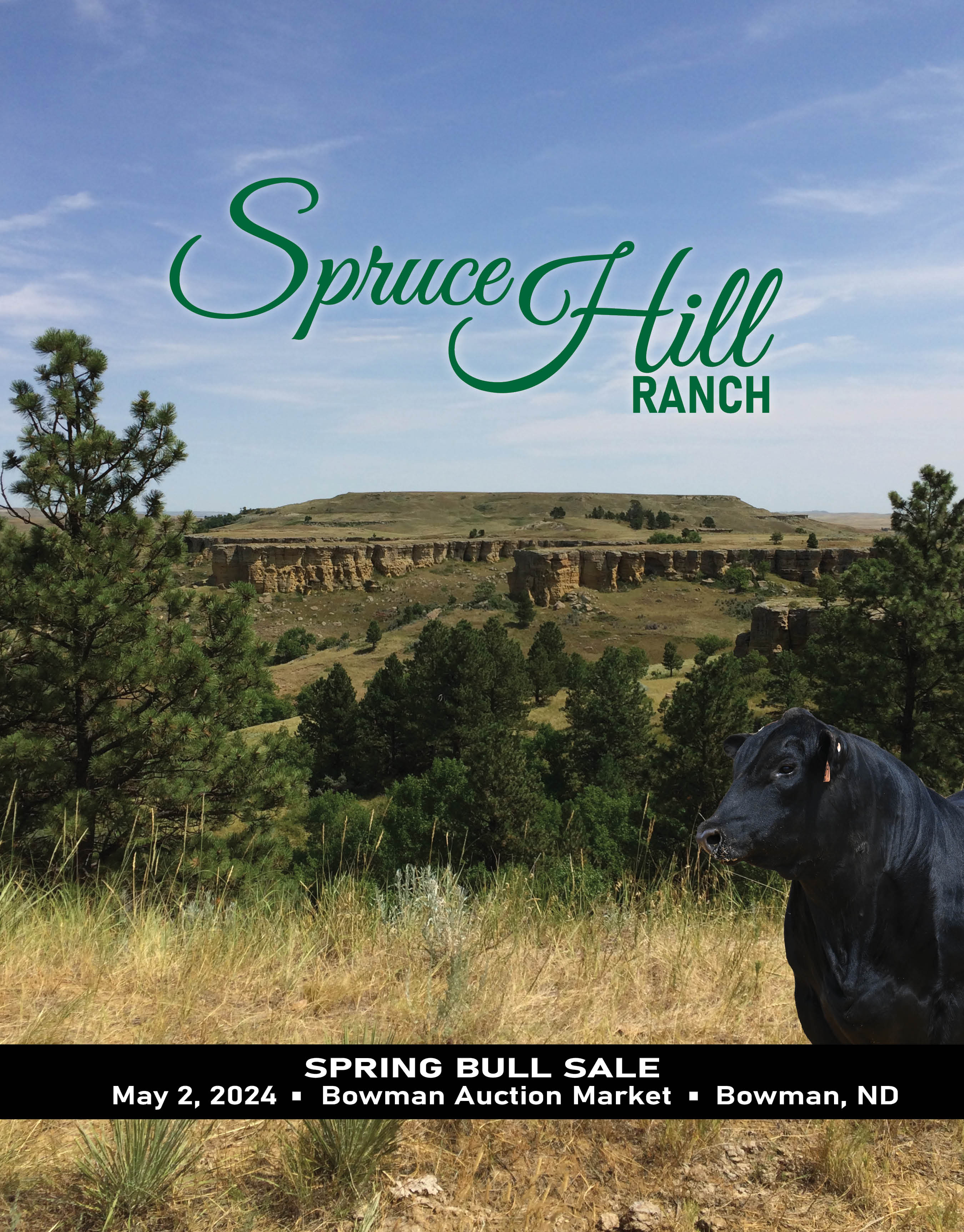 Spruce Hill Ranch Bull Sale