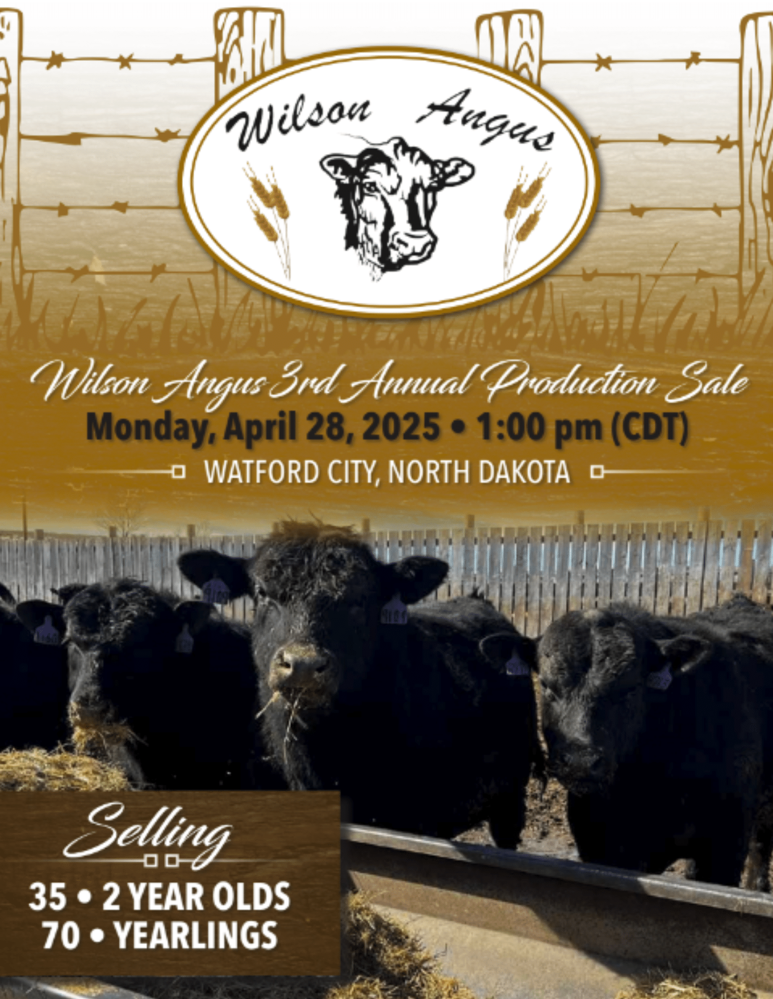 Wilson Angus Bull & Heifer Sale