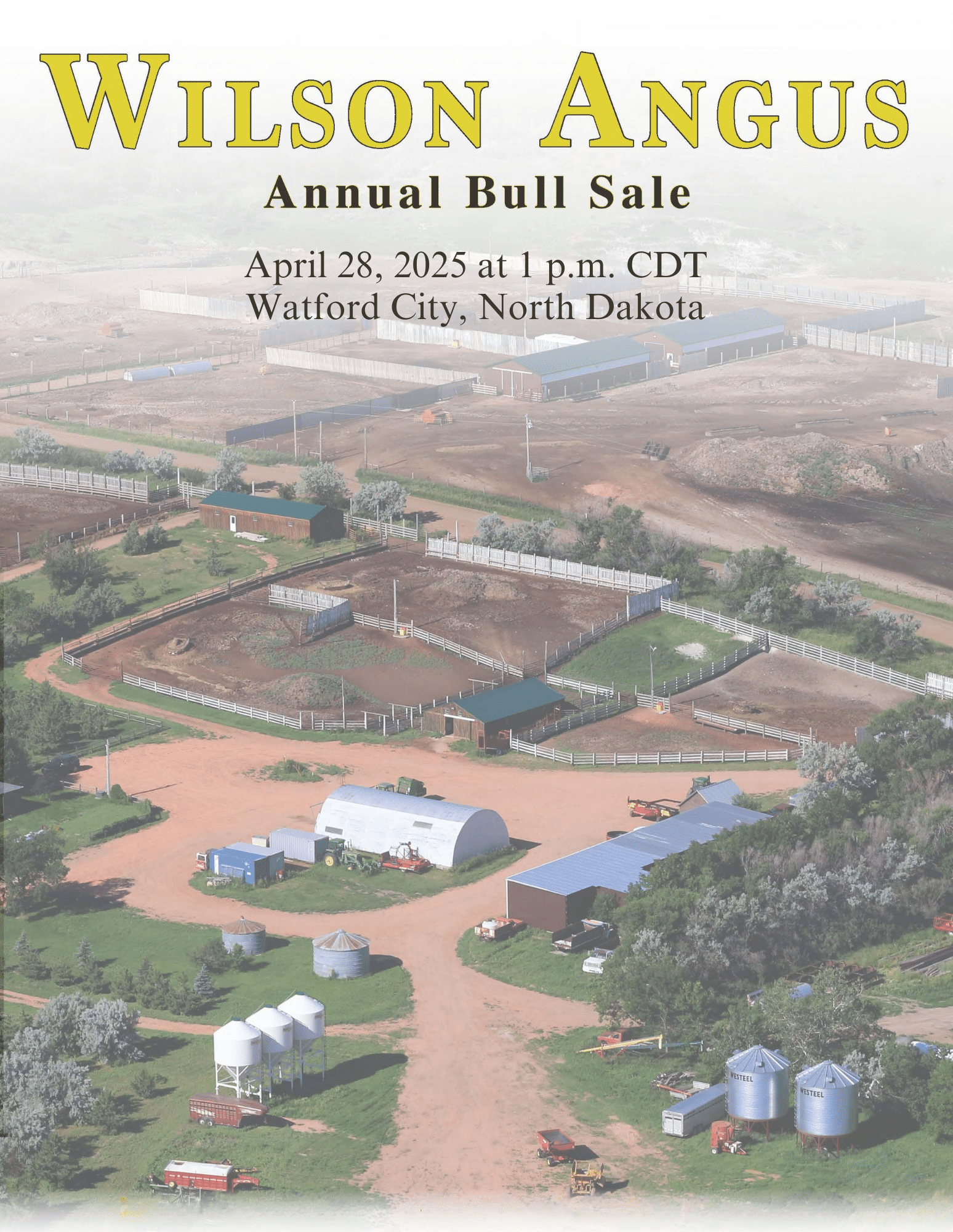 Wilson Angus Bull & Heifer Sale