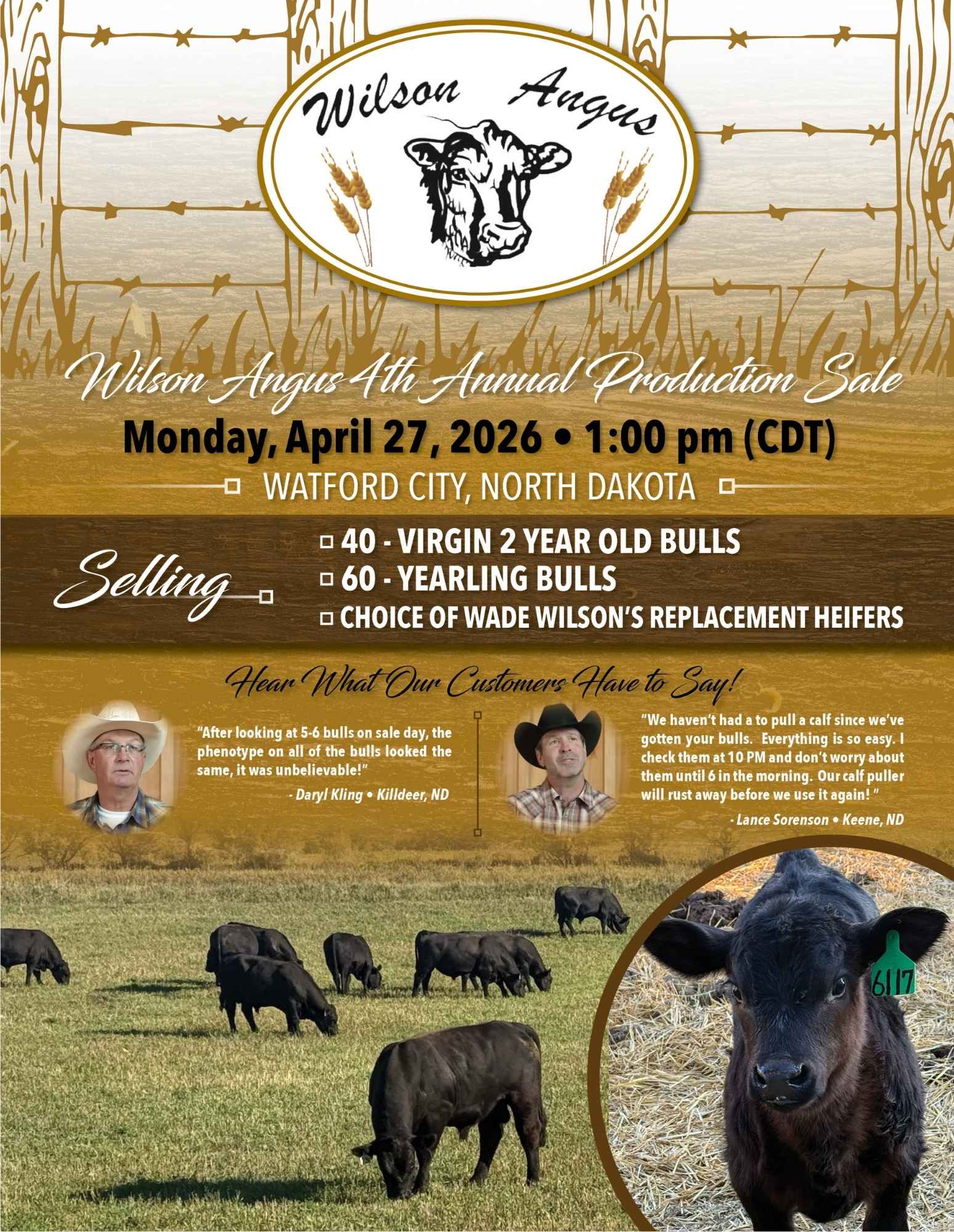Wilson Angus Bull and Heifer Sale
