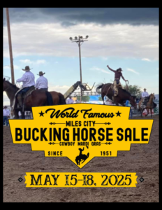 World Famous Miles City Bucking Horse SaleWorld Famous Miles City Bucking Horse Sale