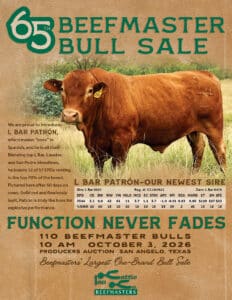 ISA Beefmaster Bull Sale L Bar San Angelo Texas Catalog