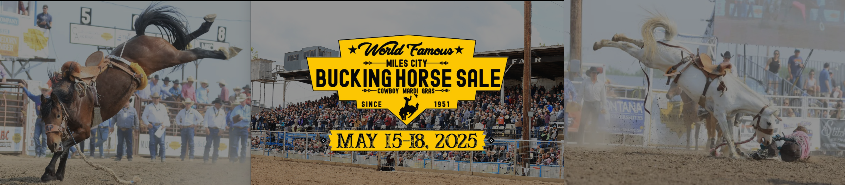 Home Page World Famous Miles City Bucking Horse Sale 2025 Ranch Channel